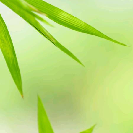 阳光灿烂 (-^〇^-)