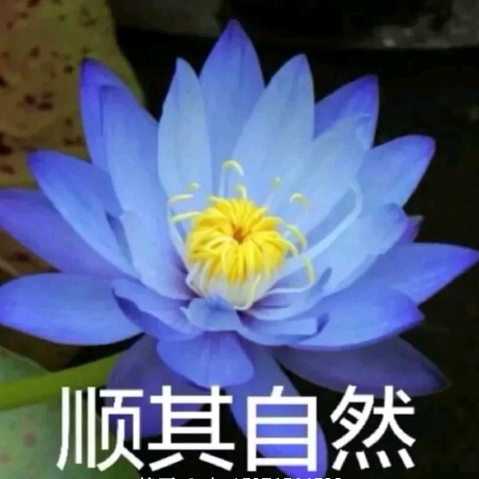 vxdbzn…