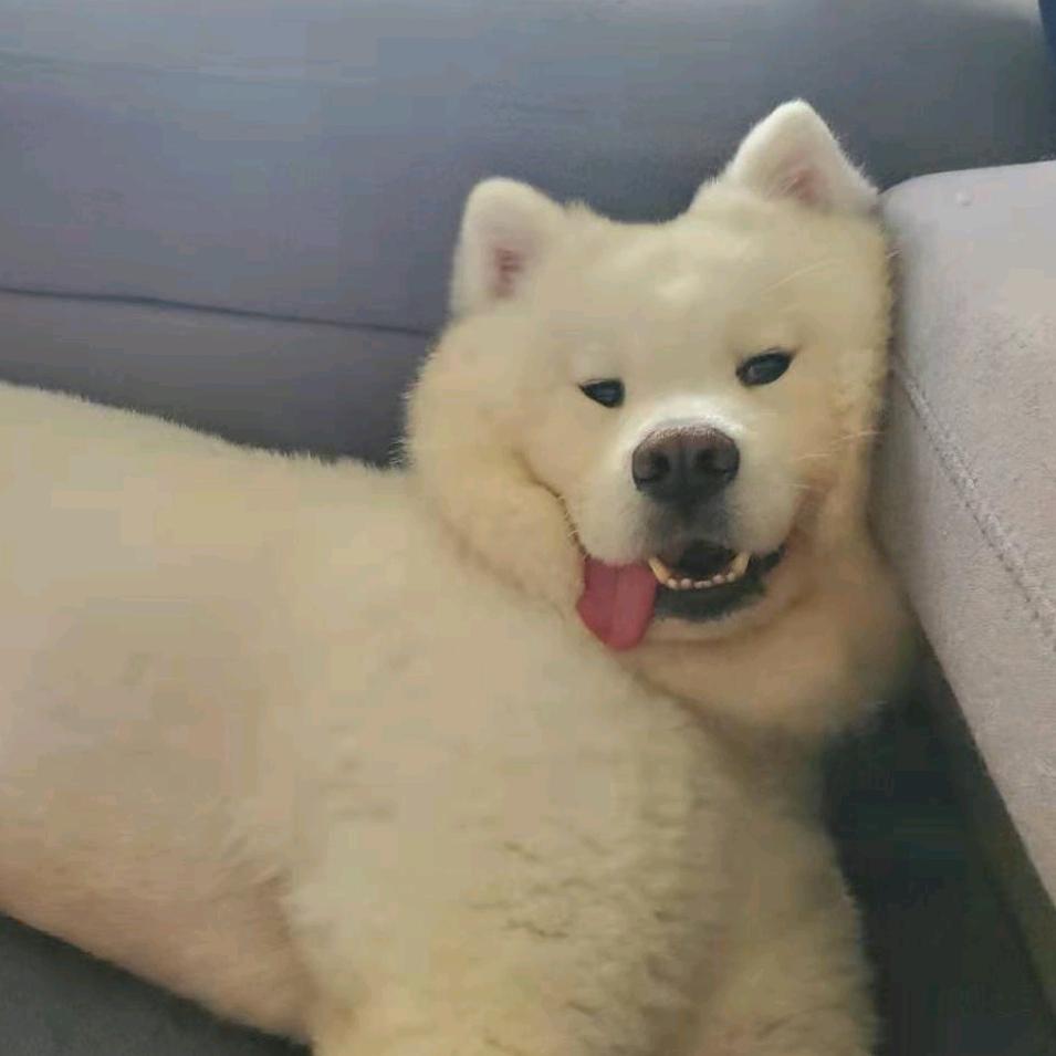 小王在家😅