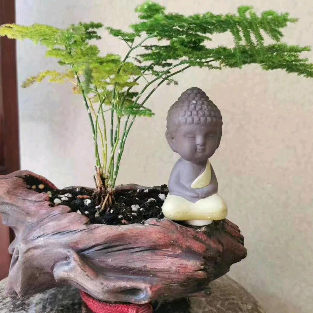 凡缘