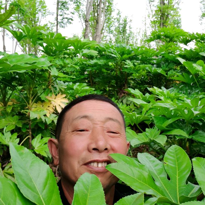好运来…