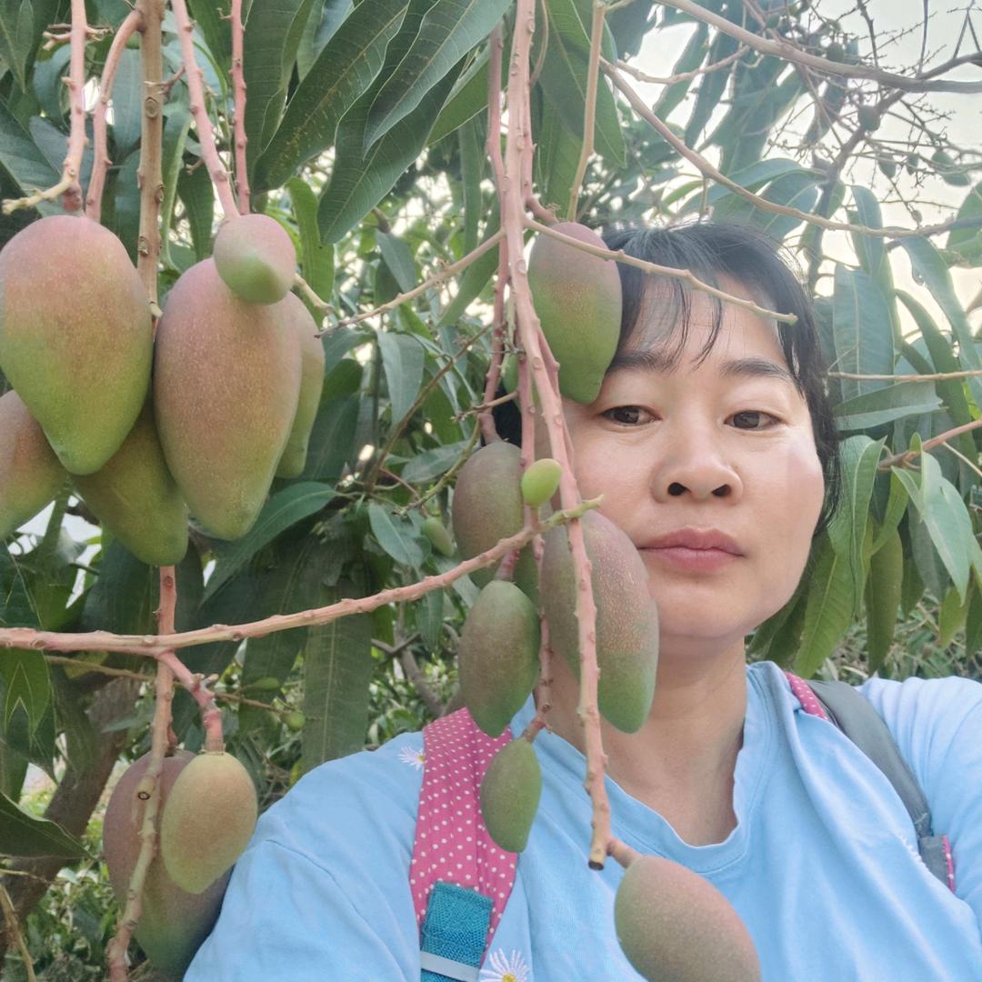 农村芒果妹