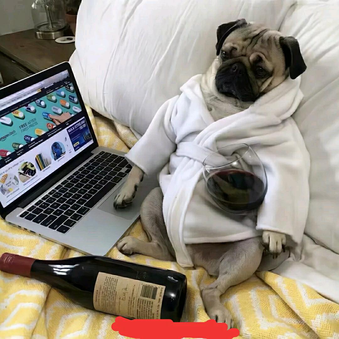 《王者荣耀》全能选手《宝》