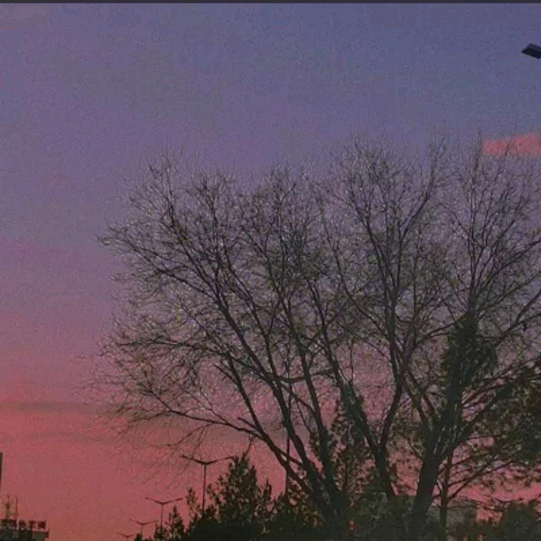 空残旧梦