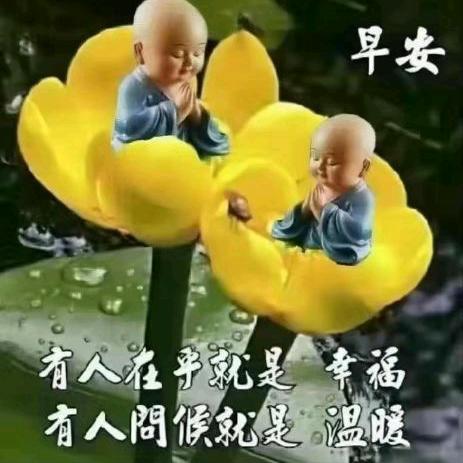 划哥