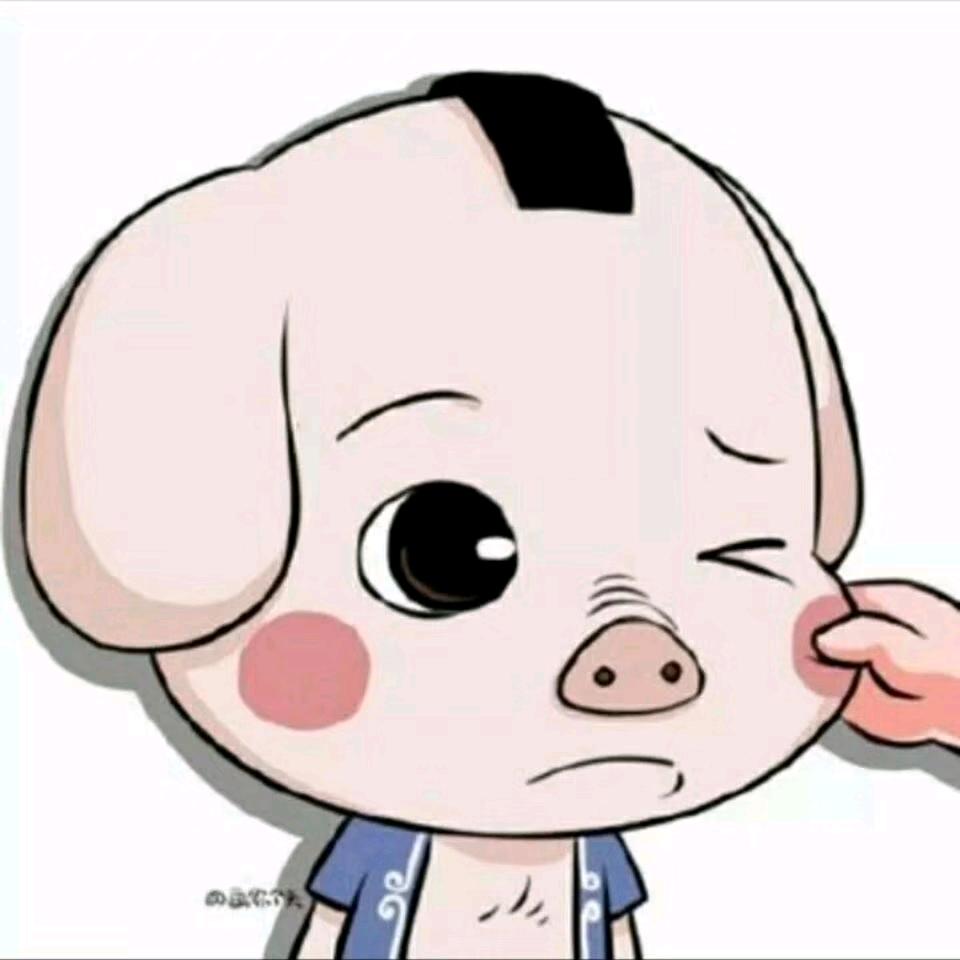 抖迷