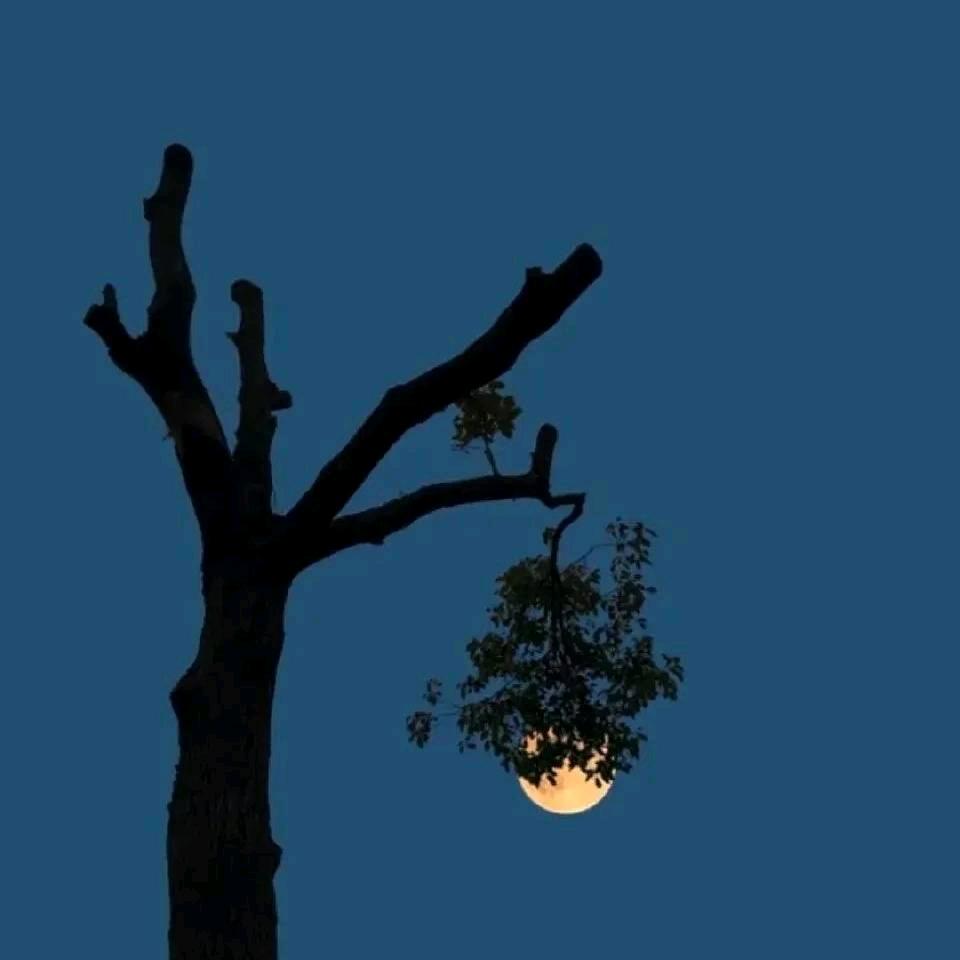 不负时光（28偷换人生 ）