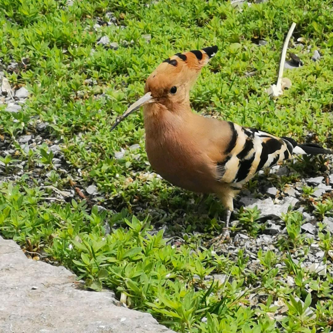 WangL我是谁
