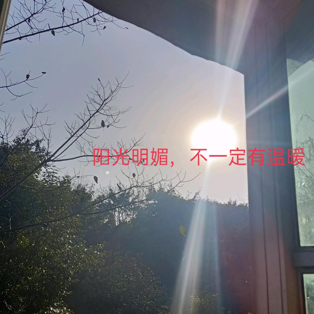 腾蝶花香（項）