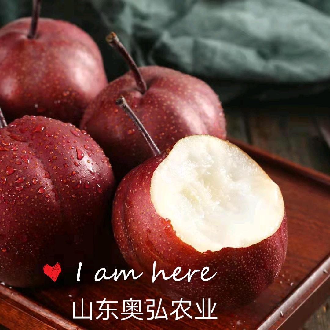 崮乡老刘