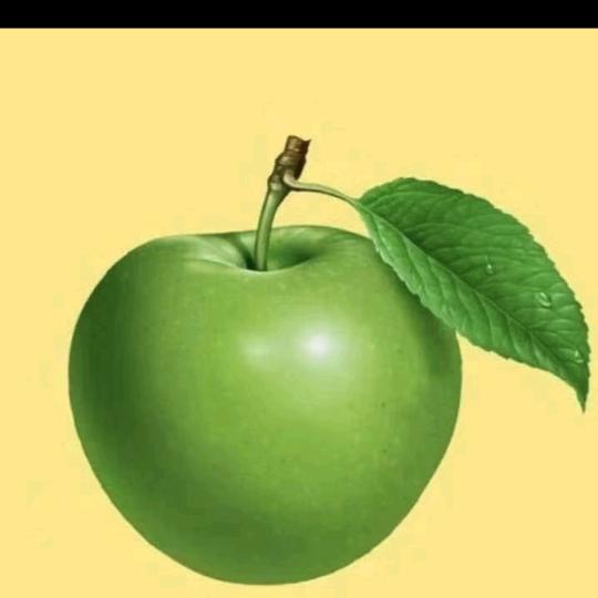 懿姐爱分享