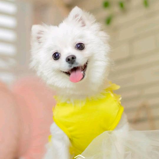 一念放下便是重生