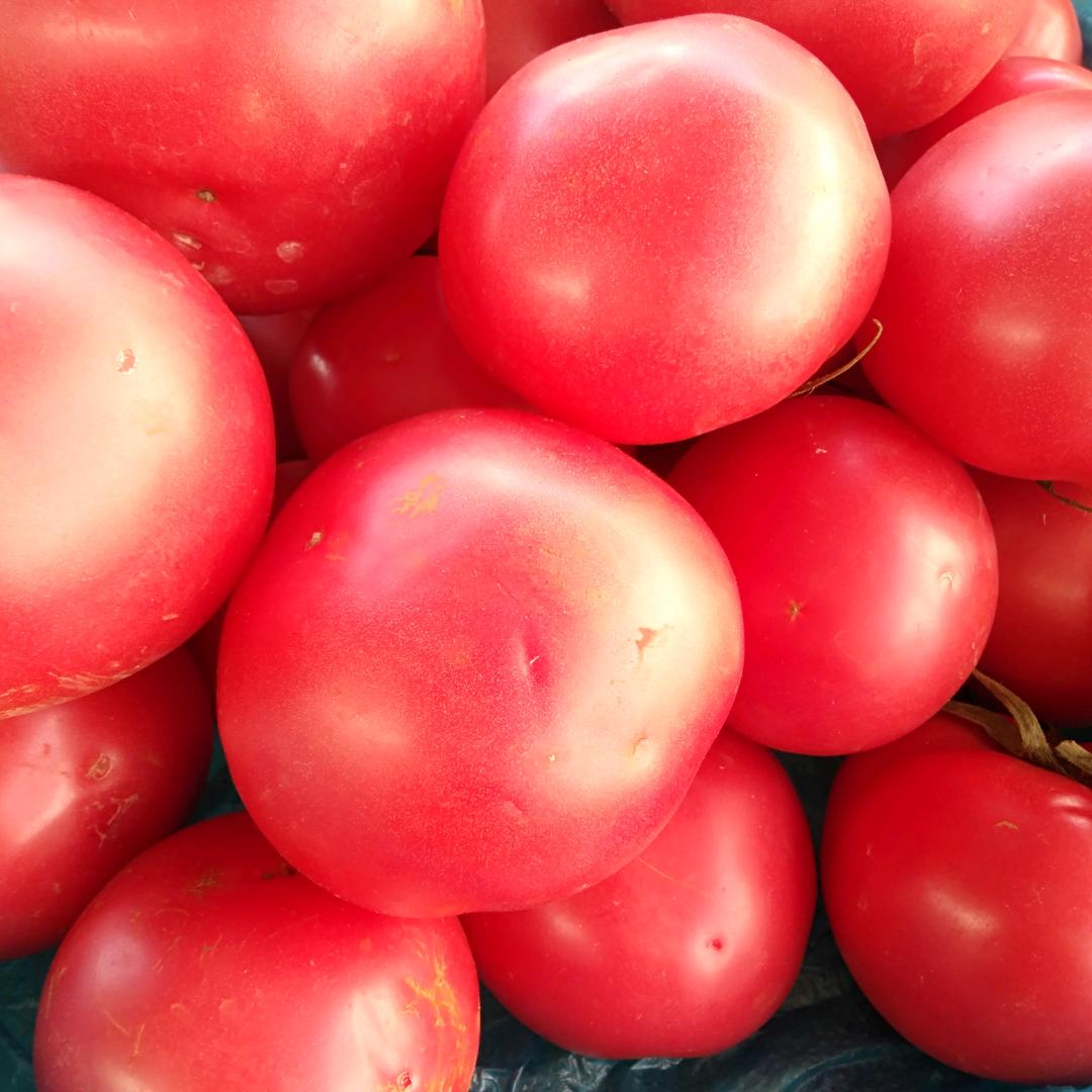 笑口常开好事自然来