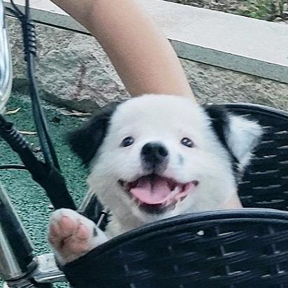 111