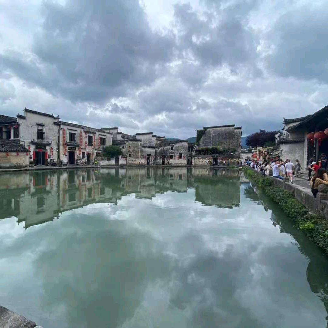 悠悠草🌸