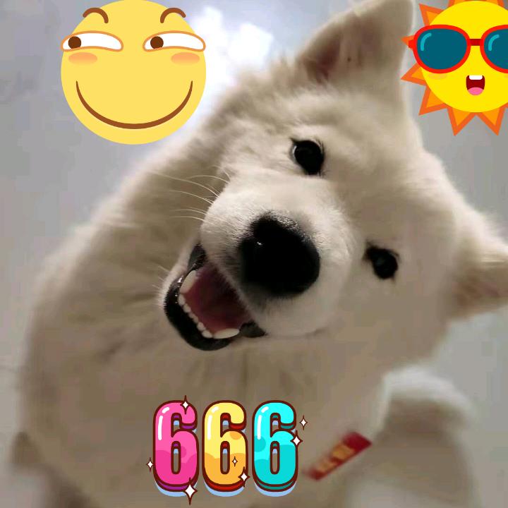 爱吃包子的大叔