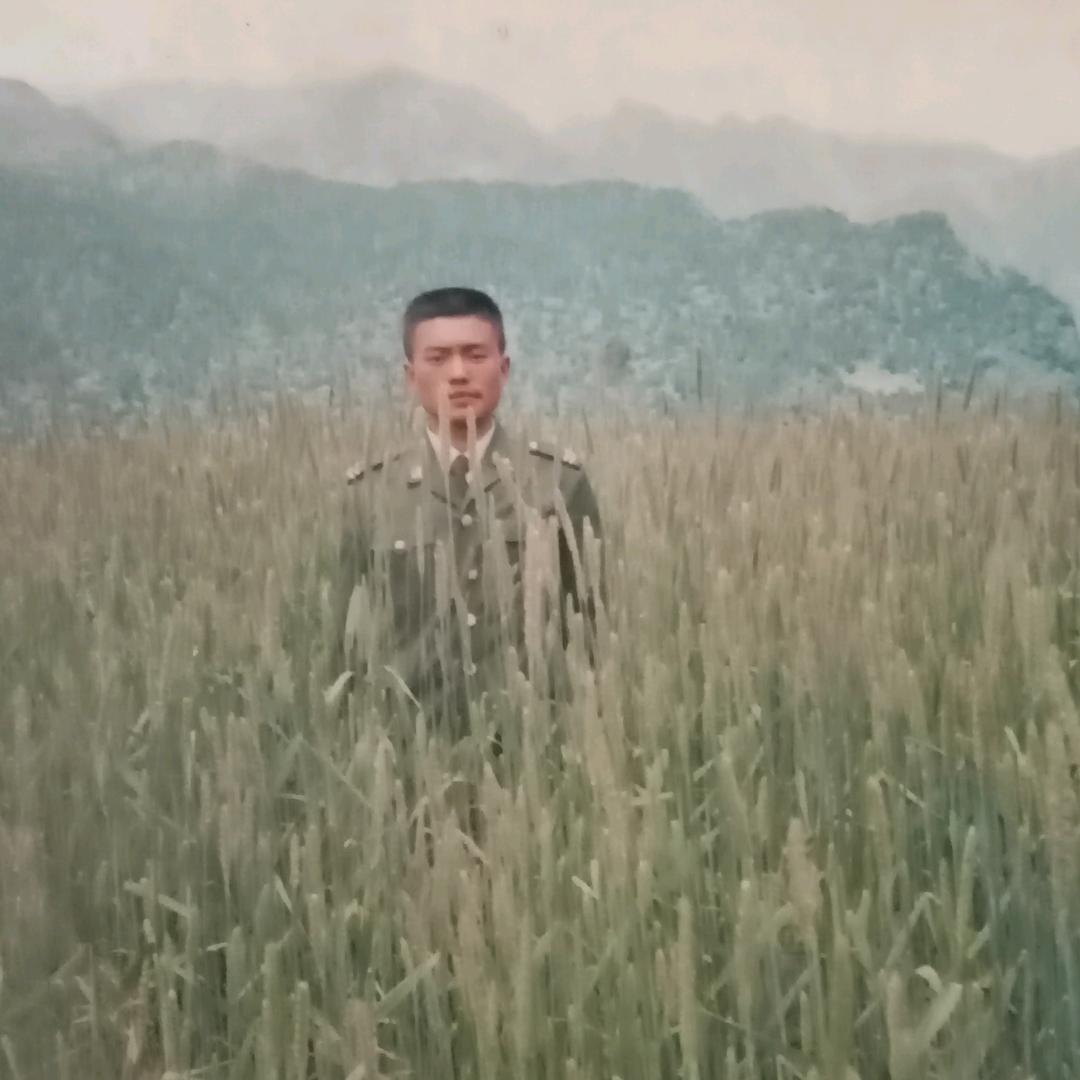 西藏77635退伍老兵