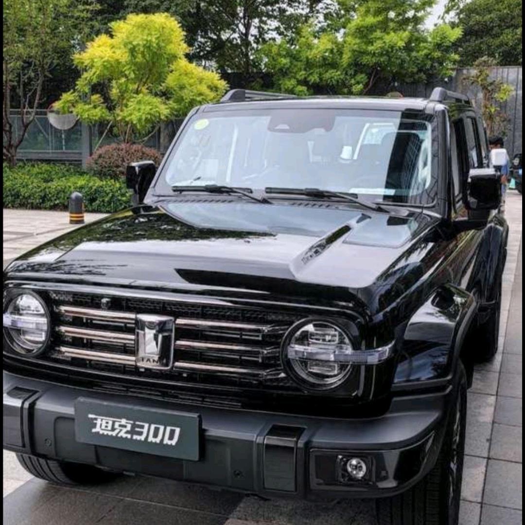Lei，途虎养车