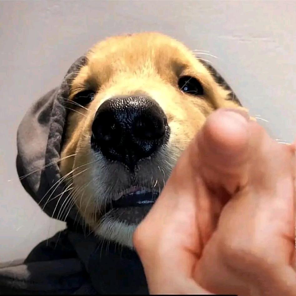 厄运