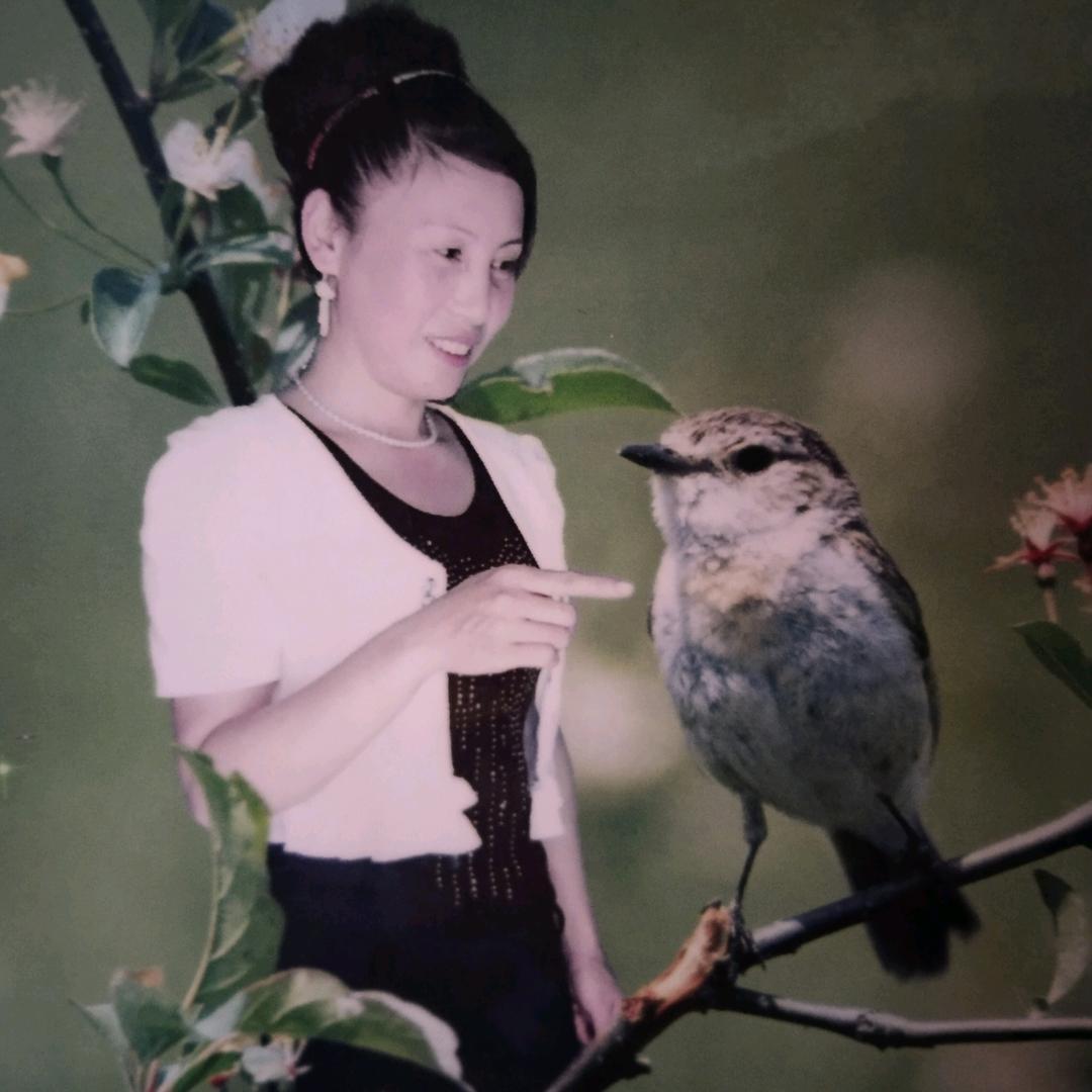 陈玫瑰