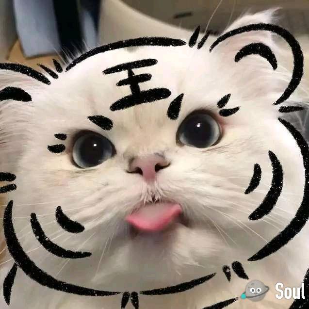 四海