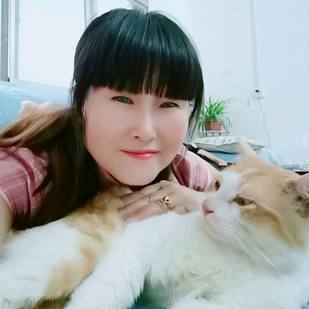 芙蓉花