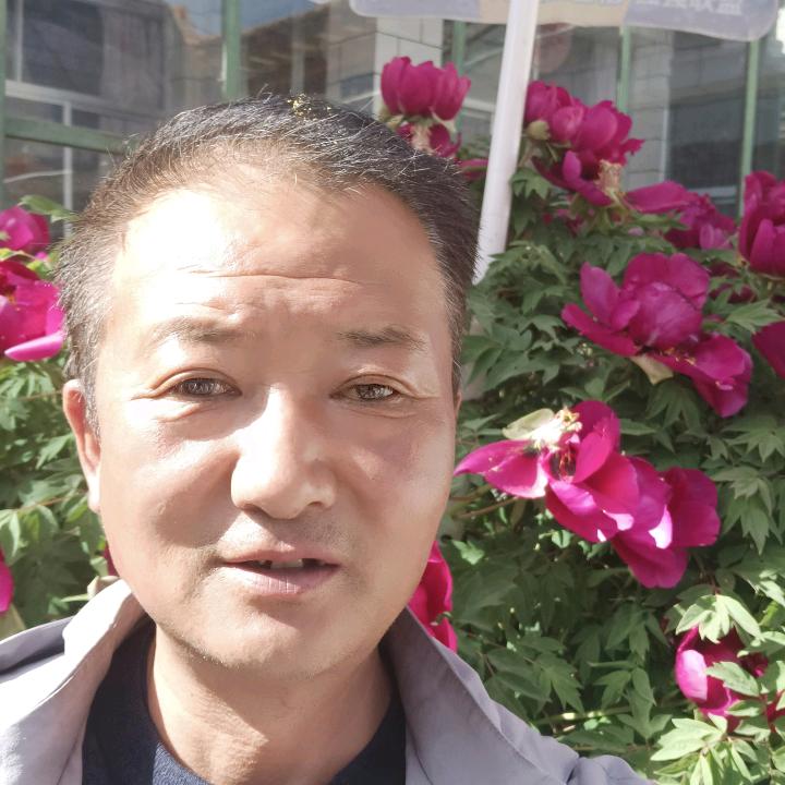 温柔的心