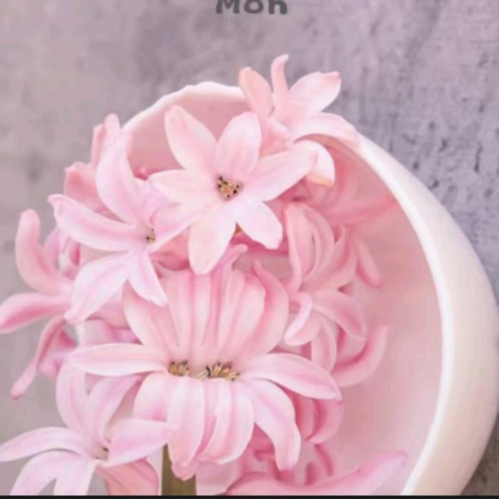 ✺◟(∗❛ัᴗ❛ั∗