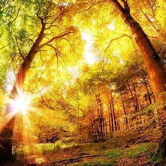 鄂尔多斯市邦林建筑劳务有限公司