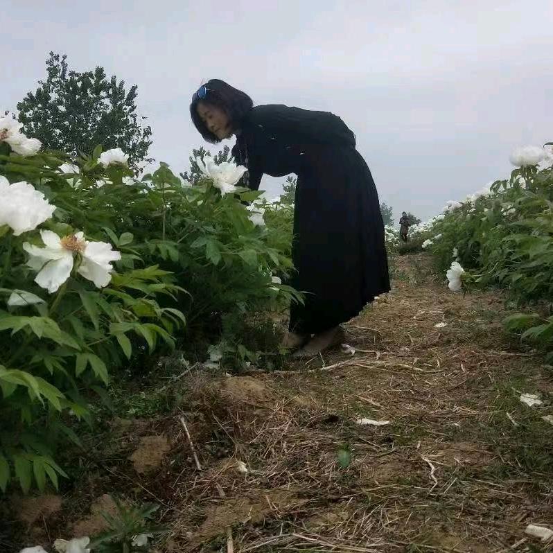 本宫不死你永远是妾 💋