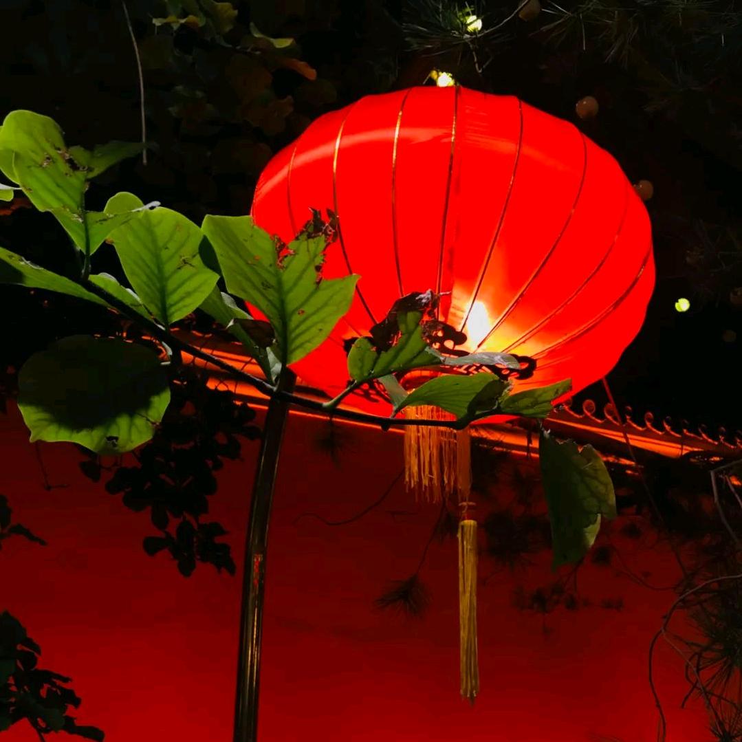 喜来乐68岁喜欢山西晋剧民歌内蒙二人台歌