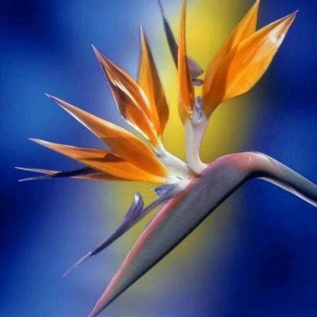 李村小程干彩钢