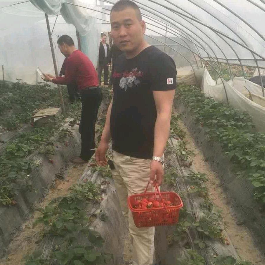 啊力