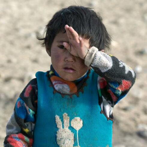 顾喜橱柜，做橱柜我们是专业