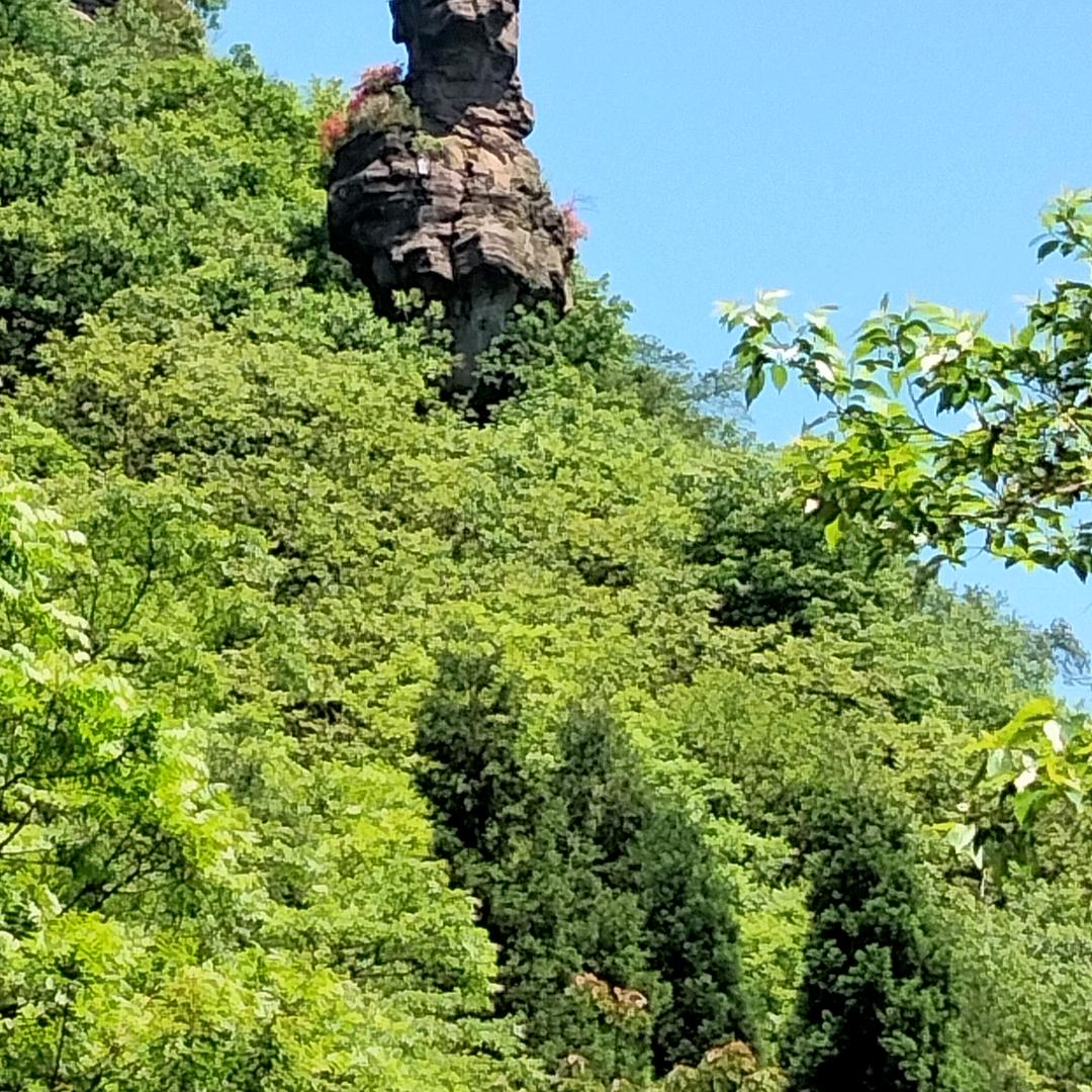 遵义耀达家具超巿