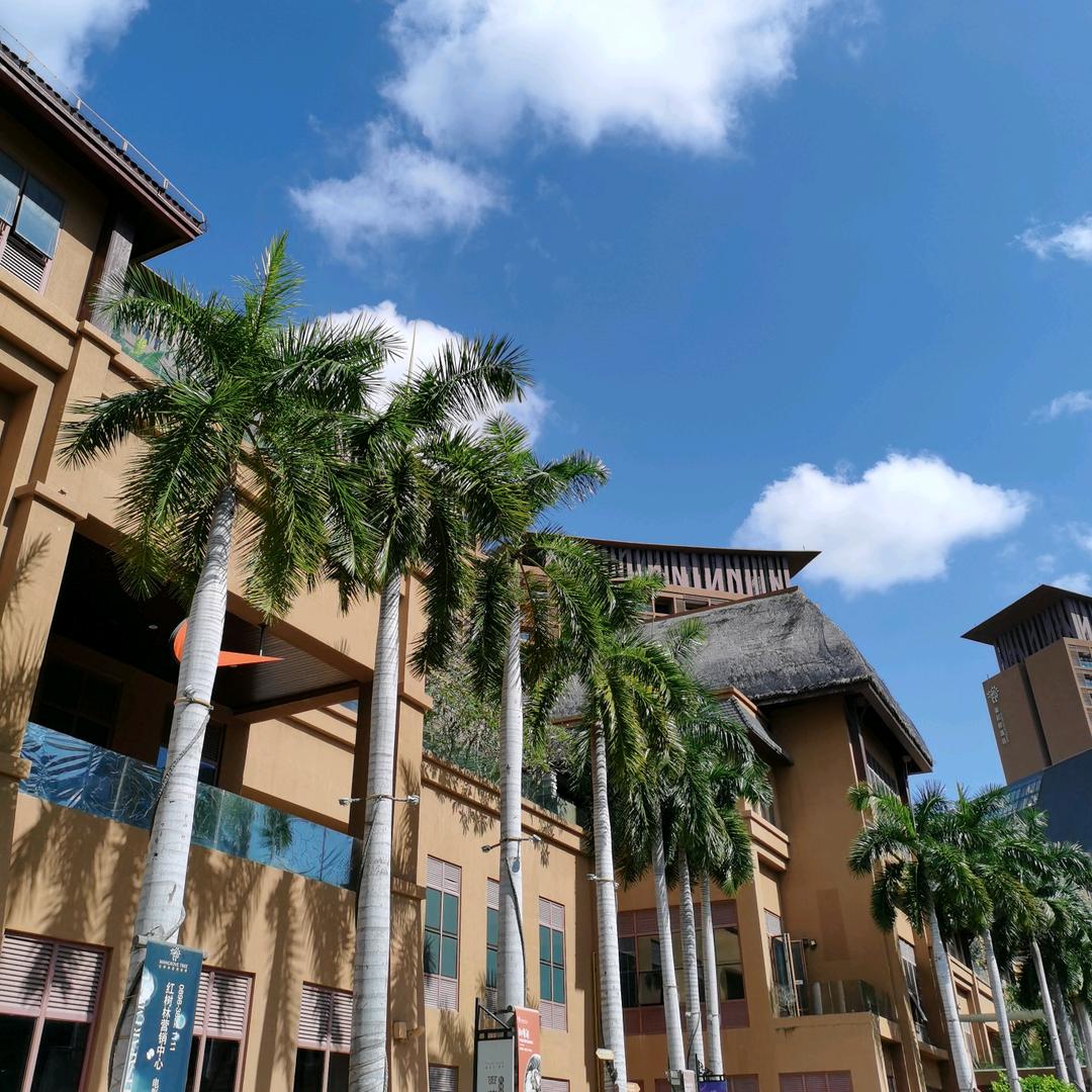 爱笑的女人✪ω✪&