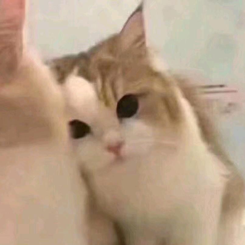 咽咽