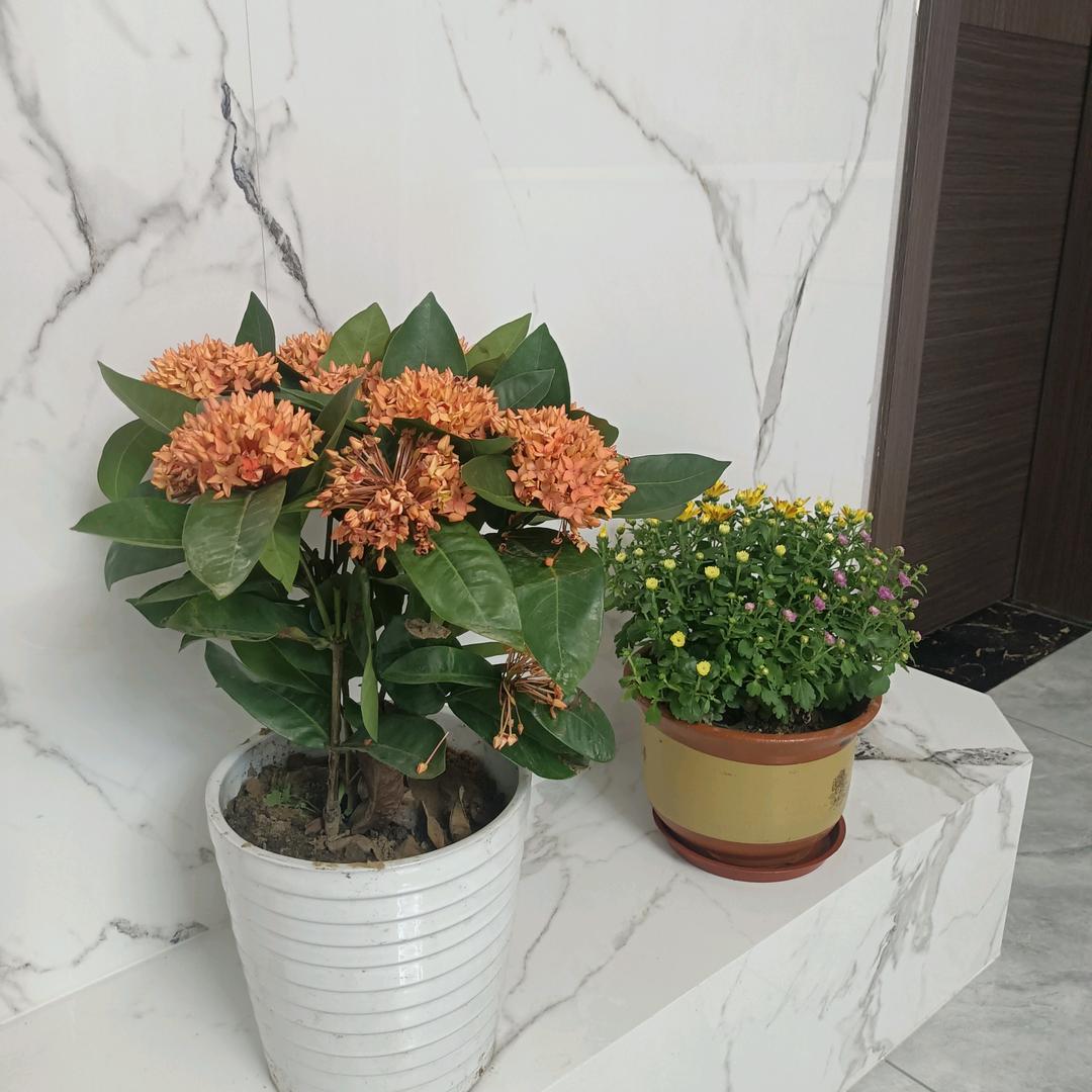 河北惠威玻璃制品有限公司