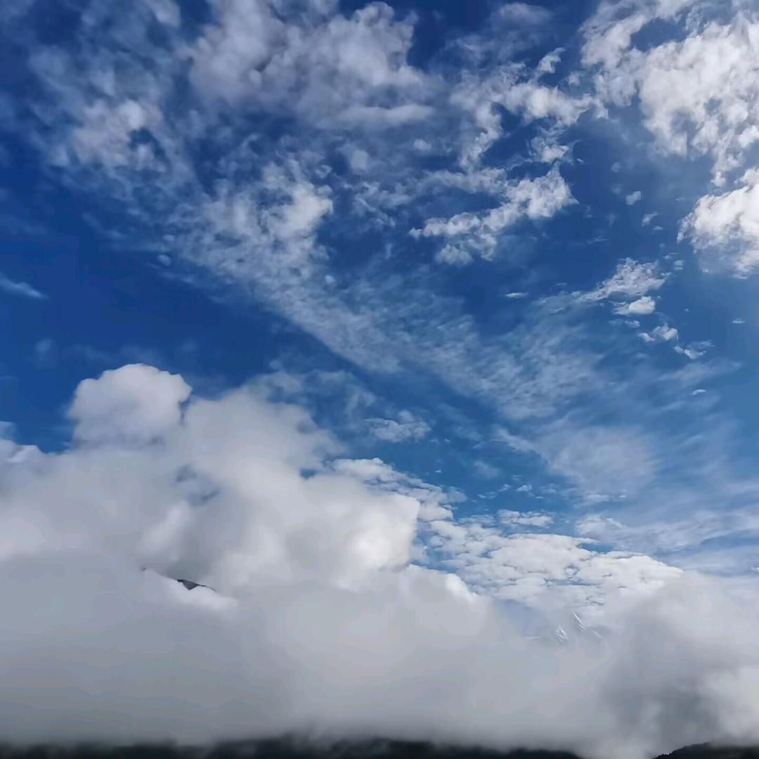 ໑2024ღ᭄王꧔ꦿ🐮