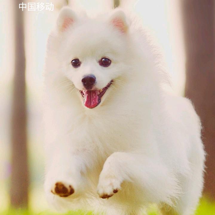 一生快乐