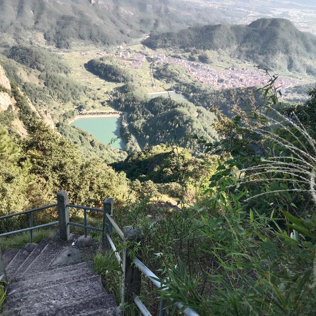 我的人生不允许