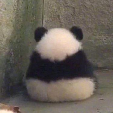 言之命至