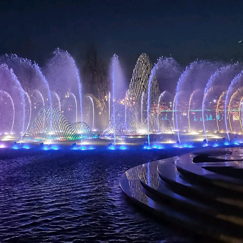 太阳上^﹏^禾苗