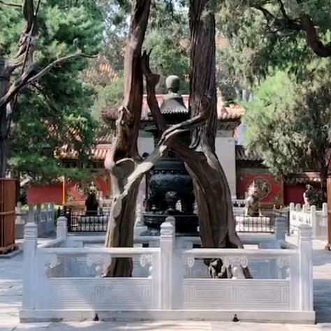 华俊