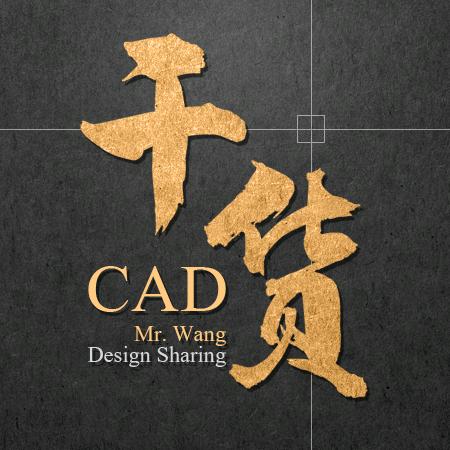 CAD深化老王