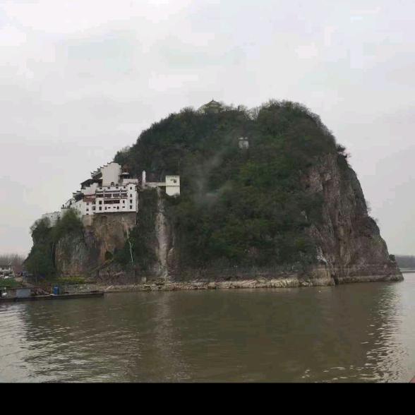 华仔