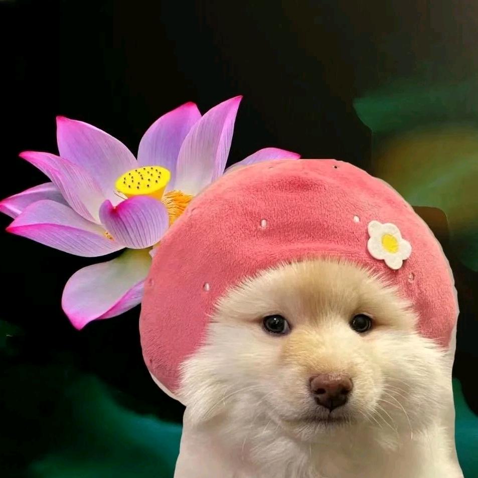 萌宠日记💦