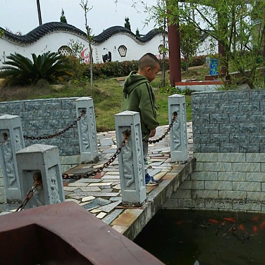 zhangqinhui