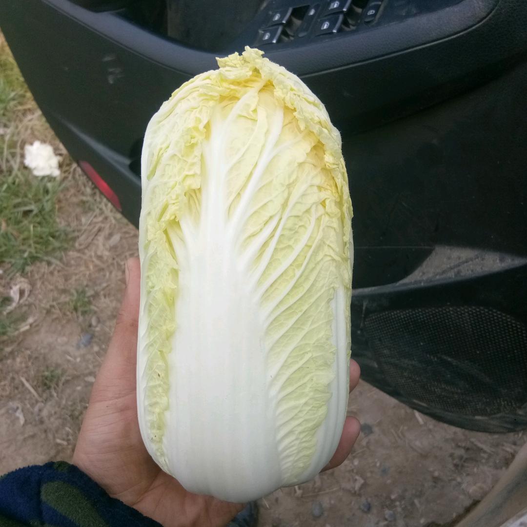 何小辉