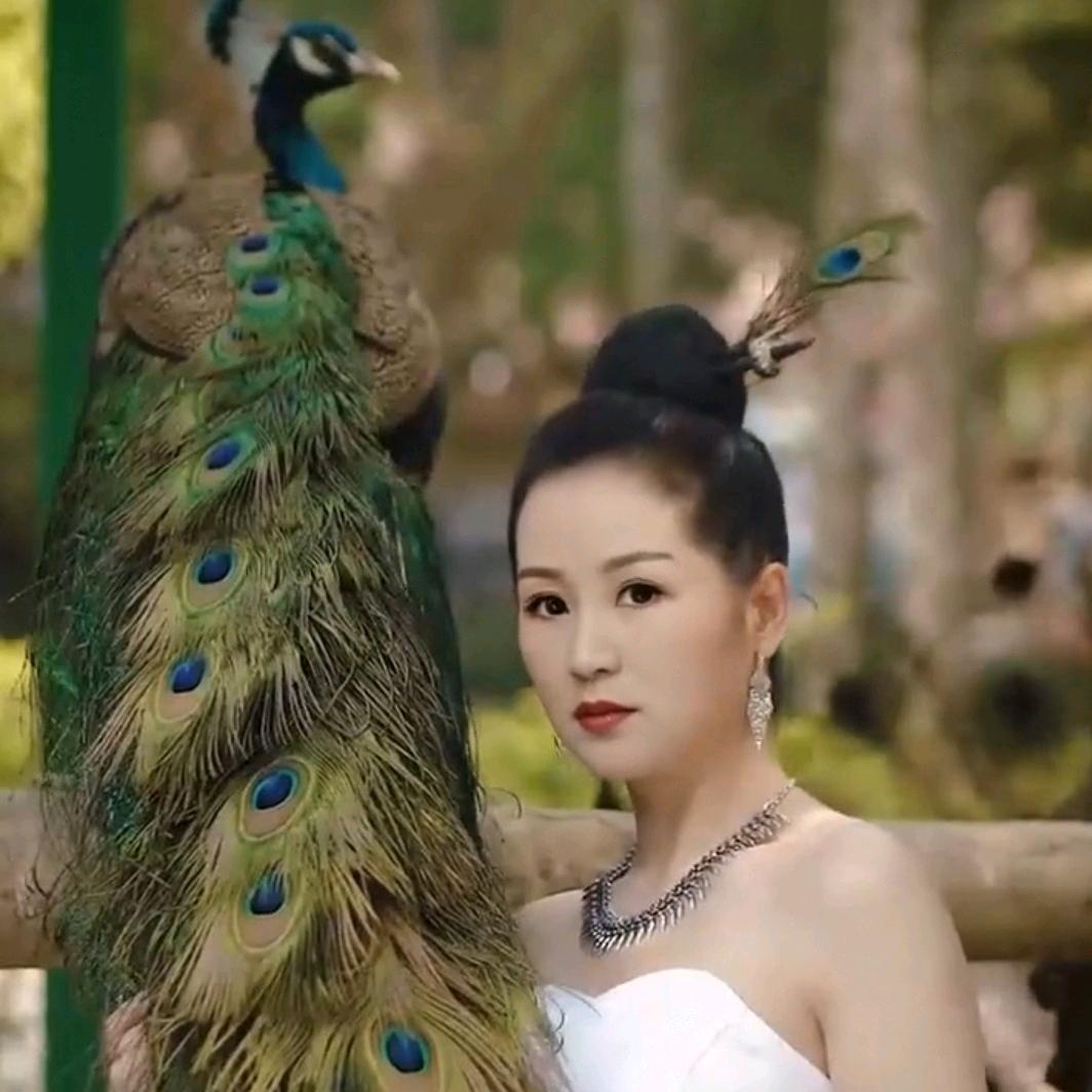 随心